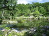 Secluded Lake Skemonto