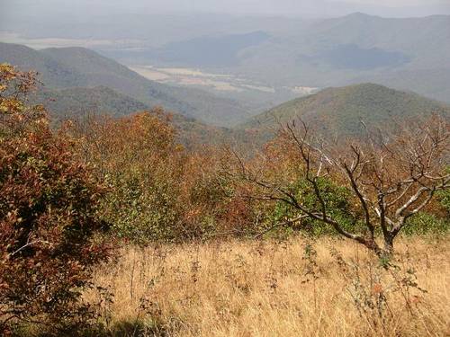 Cades Cove from Thunderhead