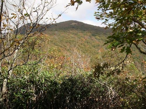 Thunderhead Mtn from AT S of Rocky Top