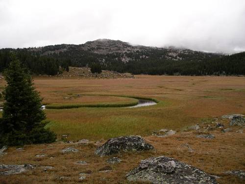 2004.08.25 Marsh Area S of Poacher Lake