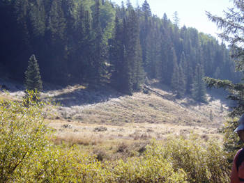 Horsethief Meadow