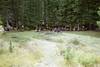 Horsethief Meadow
